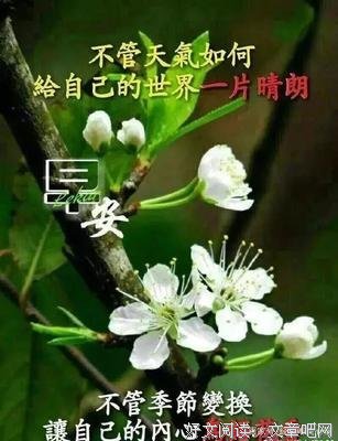 关于疲于奔命的语句