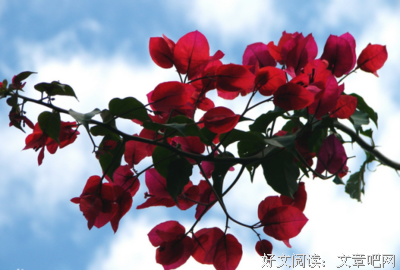 《铁三角》读后感精选