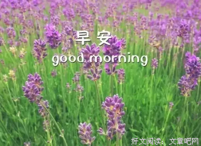 15条关于知己知彼的经典语句