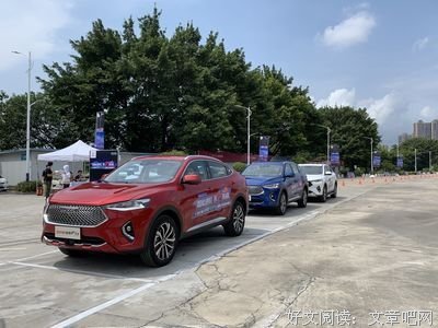 《生活在极限之内》的读后感大全