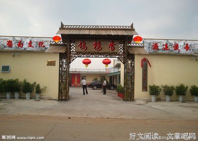 《返璞归真》读后感精选