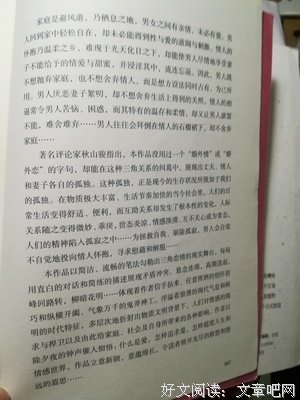 《出轨的王朝》读后感1000字