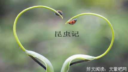 《小手河》读后感精选
