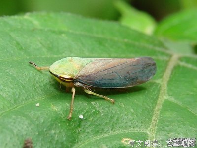 《我要成为世界的一部分》读后感1000字