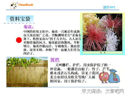 关于心花怒放的名言