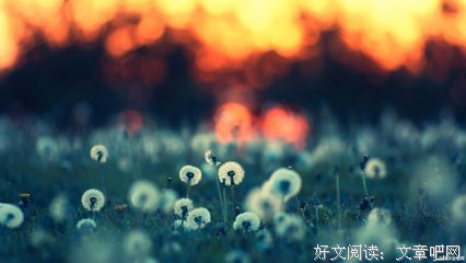 孤独者的读后感大全