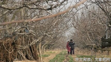 《江南弃儿》观后感摘抄