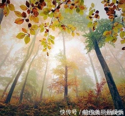 我只是第以过人间经典名句