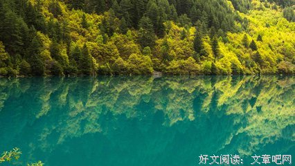有生作是出为往别十失向年只诉温暖不言殇的优美句子