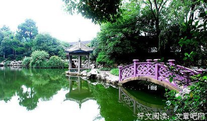 有关美到繁花绚烂时的句子