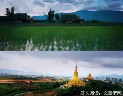 《狂飙的蜗牛》好看吗？经典观后感锦集