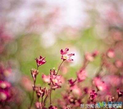 春风为物子西于格不如你的优美句子