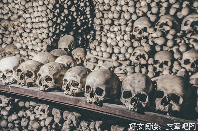 有关匆匆我中西年的句子