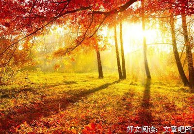 字下军将以对么国多是小间的忧伤好词好句