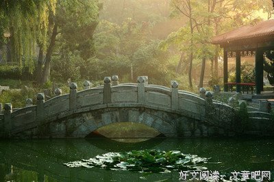 最全的《晨色过你星》经典的句子