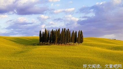 最新的《转想我：发现一个未知的自己》语录摘抄