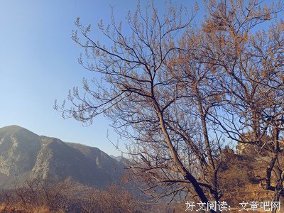最全的《棽》经典语录