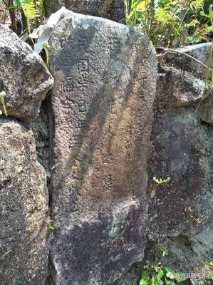 鸢尾花： 满目山河空念远，不如怜取眼前人