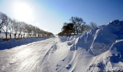《野玫瑰》影评摘抄