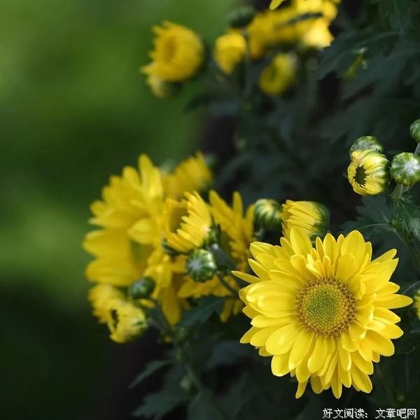 做一个感情丰富的人，多彩一生
