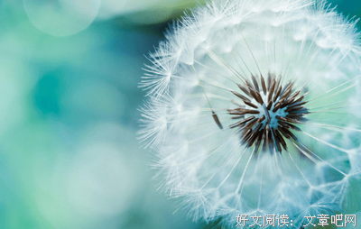 hhhhhh的句子