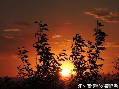 关于海子的优美句子