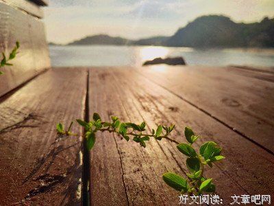 “树深时见鹿”的优美句子