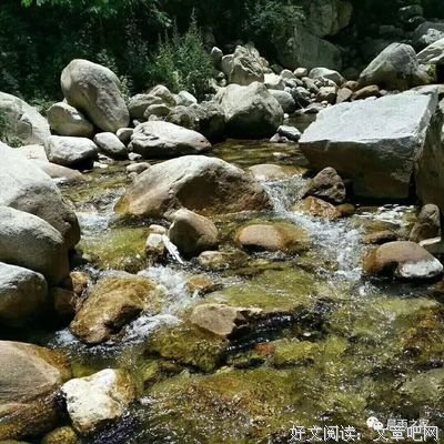 唯爱诗歌