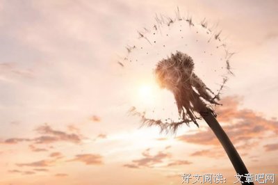 最经典的《纵只向却一生漂泊，亦可淡若清风》经典句子大全