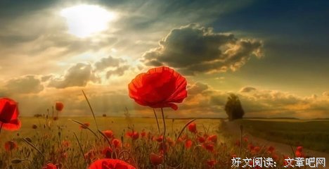 关于海角天涯的语句