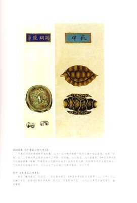 药林外史读后感精选
