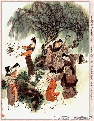红楼小讲读后感摘抄