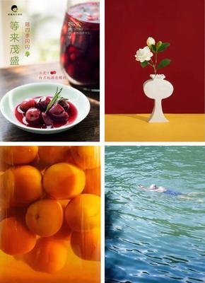 《明朝那些事儿（叁）》读后感摘抄