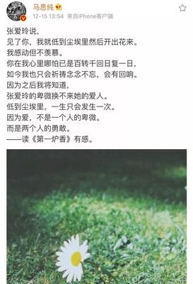 《爱情故事》读后感100字