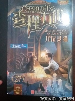 灵猫的读后感大全