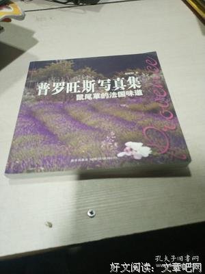 《普罗旺斯写真集》读后感1000字