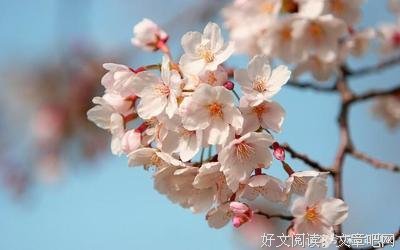 关于圈养的句子
