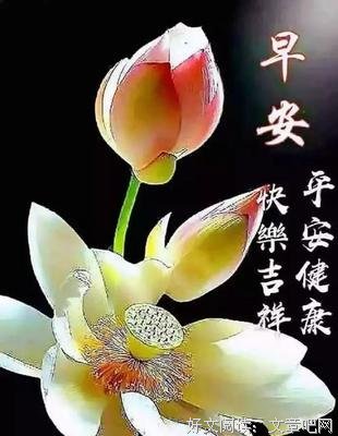 垃圾自述的优美句子