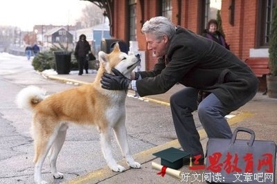 《世界奇妙物语 2017年深夜特别篇》好看吗？经典观后感锦集