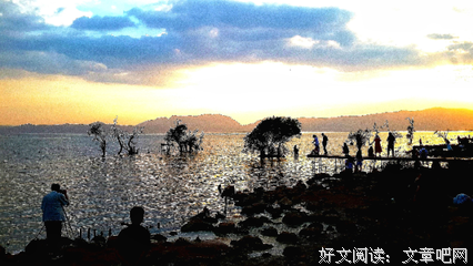 失乐园读后感100字
