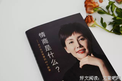 《城府》经典读后感有感