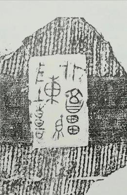 迷失北岸的读后感大全