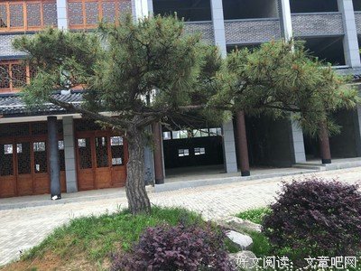 《西望长安》读后感1000字