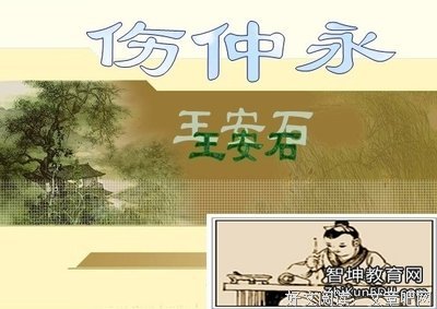 十一世纪的王安石读后感1000字