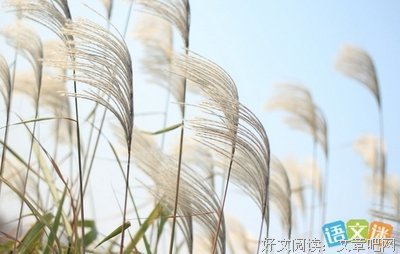 描写润物细无声的经典句子