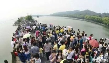 《基金经理》读后感精选