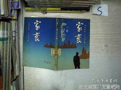 家变读后感精选