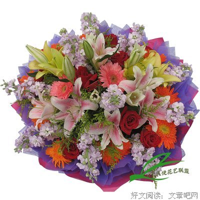 描写百花齐放的语句摘抄