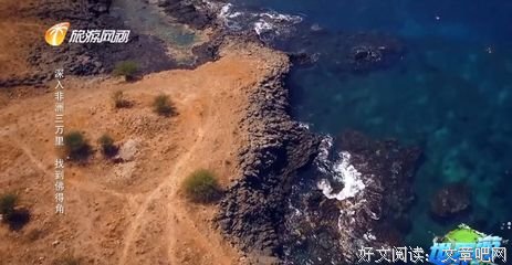 深入非洲三万里读后感1000字
