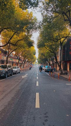 《喜宝》经典读后感有感